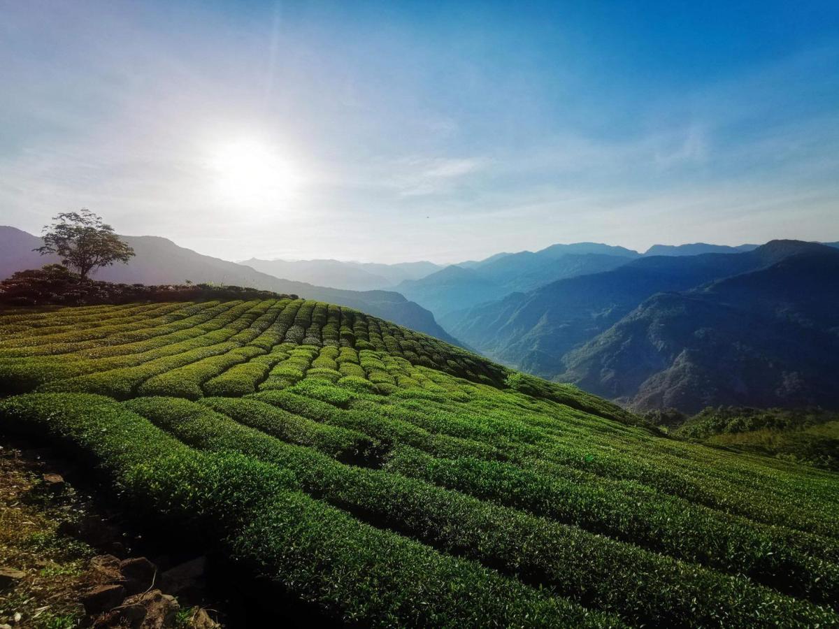 Alishan Tea Homestay Leye Esterno foto