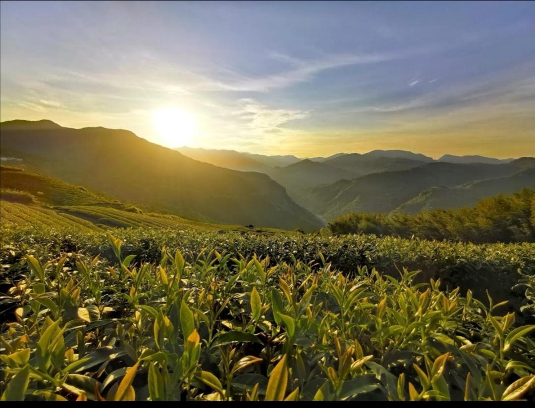 Alishan Tea Homestay Leye Esterno foto